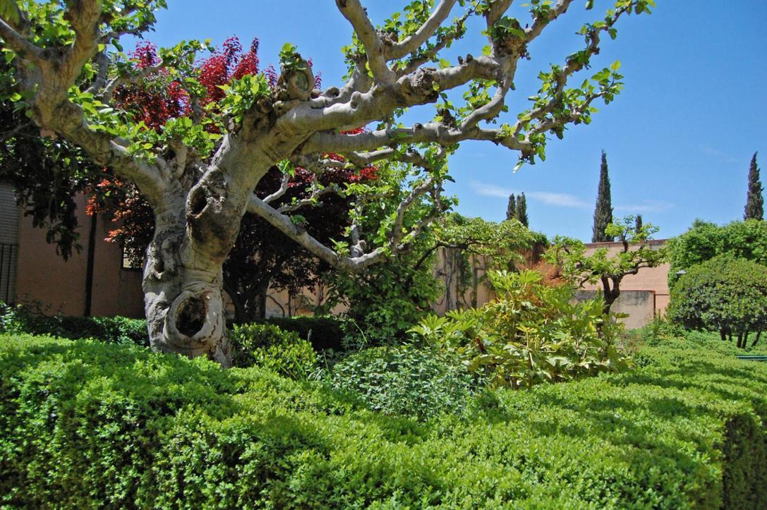 Un Vergel Al Pie De La Alhambra. Enjoy It Now!! Grenada Zewnętrze zdjęcie